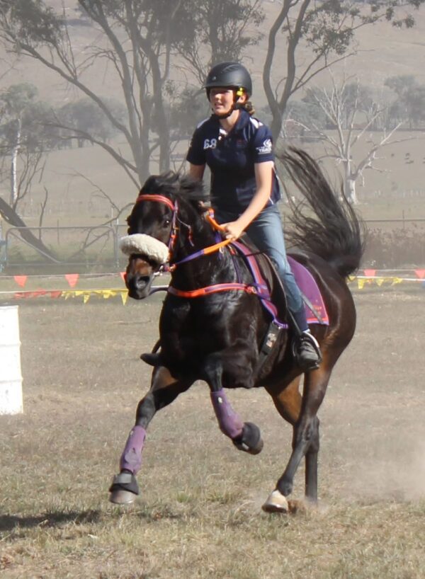 Rider at full gallop